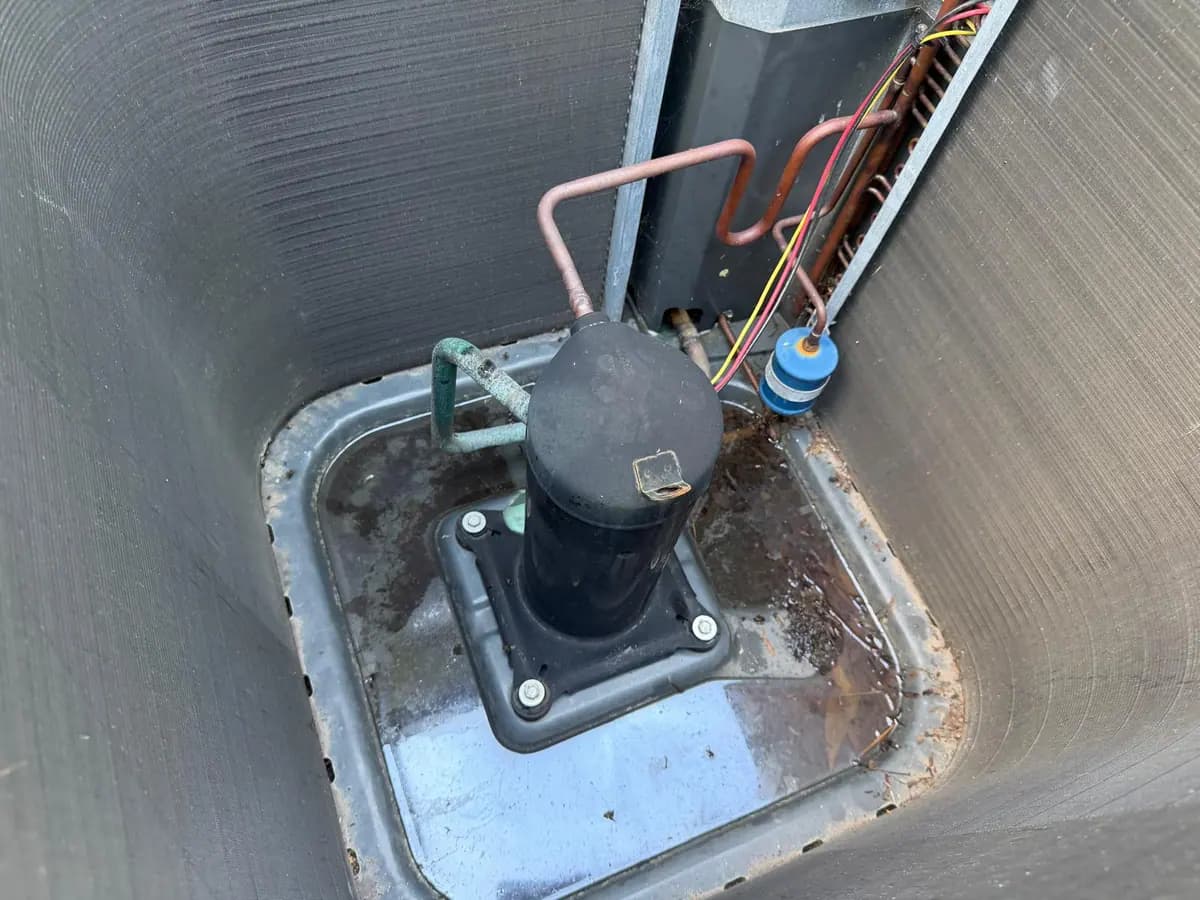The same compressor compartment clean after the service