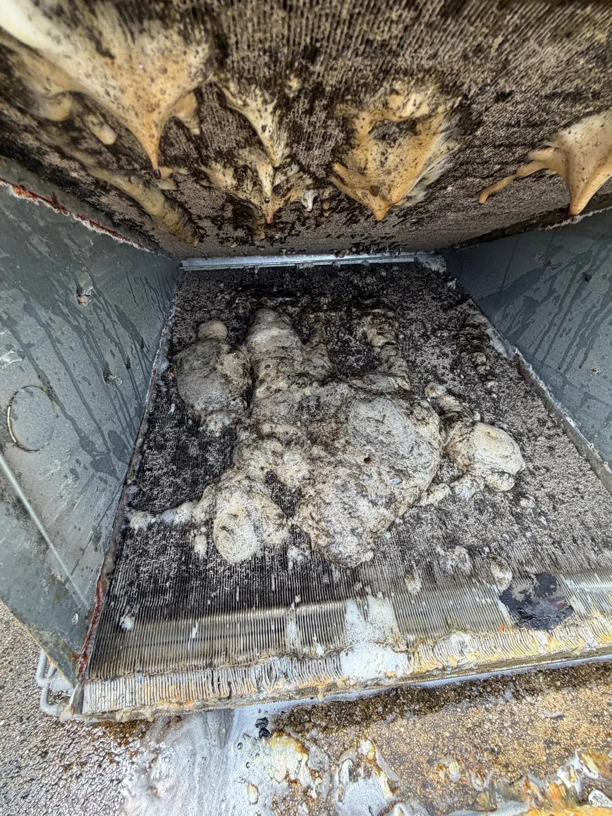 Compressor compartment packed with debris before the AC Professional service in Cape Coral