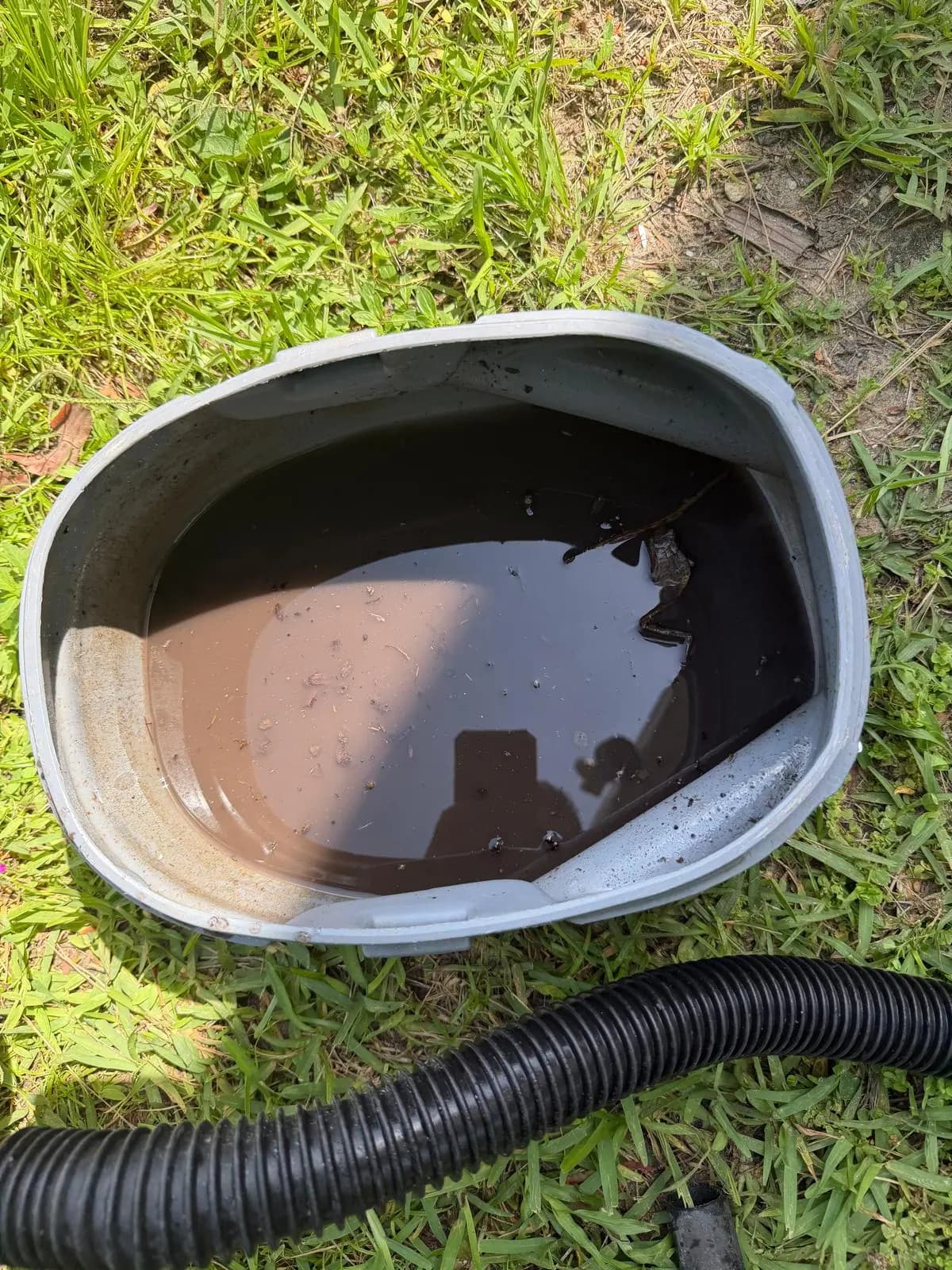 Bucket of dirty water pulled from a clogged AC drain line